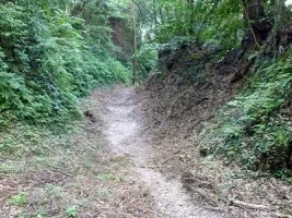 shibushi-castle-14.webp