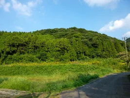 kouyama-castle-01.webp
