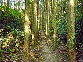 kouyama-castle-09.webp