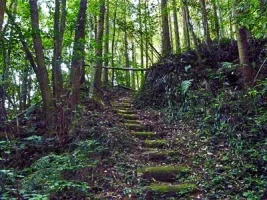 kouyama-castle-13.webp