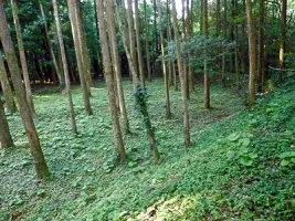kouyama-castle-14.webp