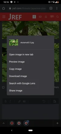 Screenshot_20210515-221648.webp