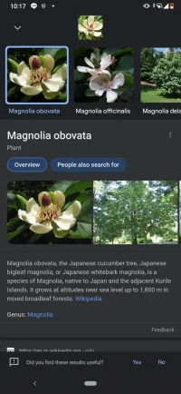Screenshot_20210515-221714.webp