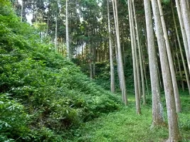 mukasa-castle-09.webp