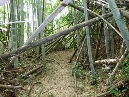 sadowara-castle-09.webp