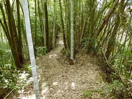 sadowara-castle-10.webp