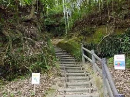 sadowara-castle-15.webp