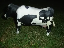 my_Skull_Cow.JPGsmall.webp