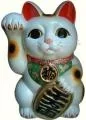 lucky cat.webp