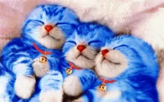 doraemon.webp