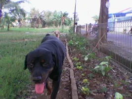 Image(004).webp