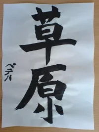 DSC00237.webp