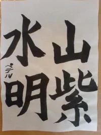 DSC00287.webp