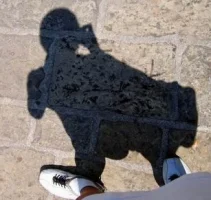 pic.webp