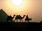 desert.webp