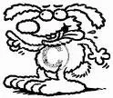 crazy rabbit.webp