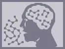 head.webp