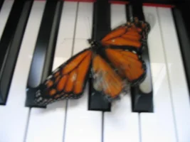 129_2966.webp