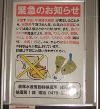 0,,5290641,00.webp