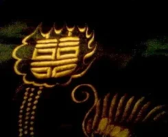 robe 001.webp