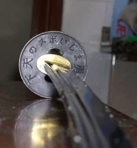 DSCN2604.webp