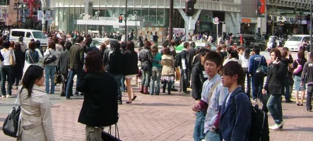 Untitled-1 copy.webp