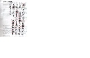 lastscanjaspbib3.webp
