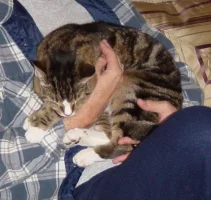 Hemmy 004.webp