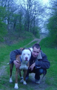 medog-1.webp