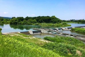 upstream-tamagawa.jpg