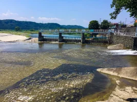 hamura-weir.jpg