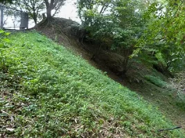 taka-castle-05-2.webp