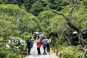 tokeiji-temple-03.webp