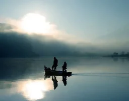 798fishing.webp