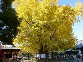 ashikaga-residence-07.webp