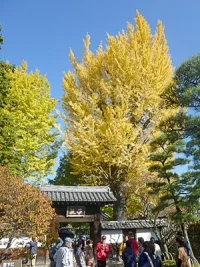 ashikaga-school-02.webp