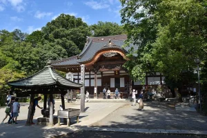 C9B17618-12CC-45D7-A965-C5F102C84919.webp