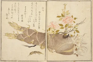 ehon-mushi-erami.webp