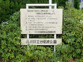 shinagawa-daiba-05.webp