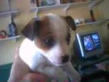 26-09-04_1536.webp