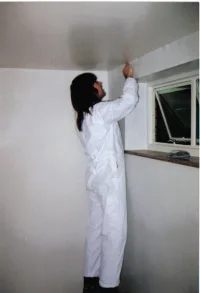Picture 5.webp