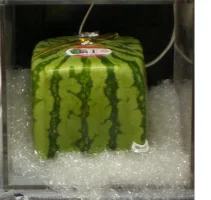watermelon.webp