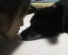 sagadog.webp