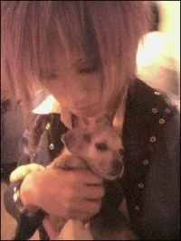 doggie.webp