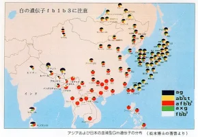 dna_map.webp