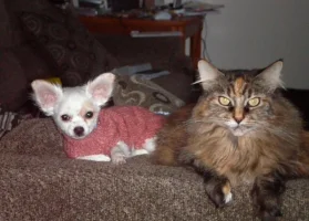 FRODO AND JEANETTE.webp