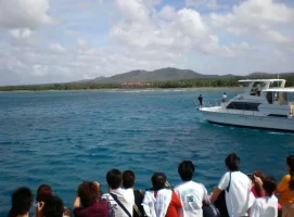 tourists.webp