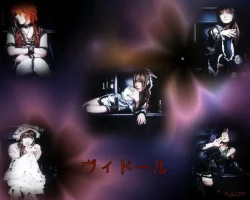 vidoll.webp