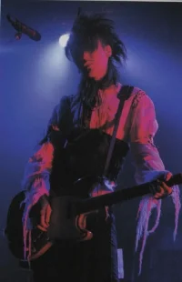 kozi-live4.webp