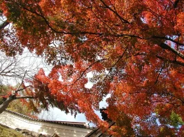 PC010067.webp